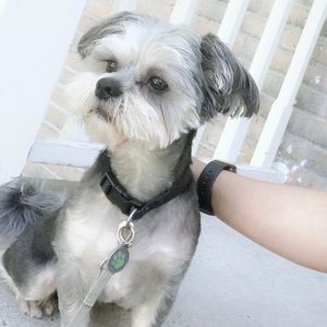 Meet your Posher, Divinagracia